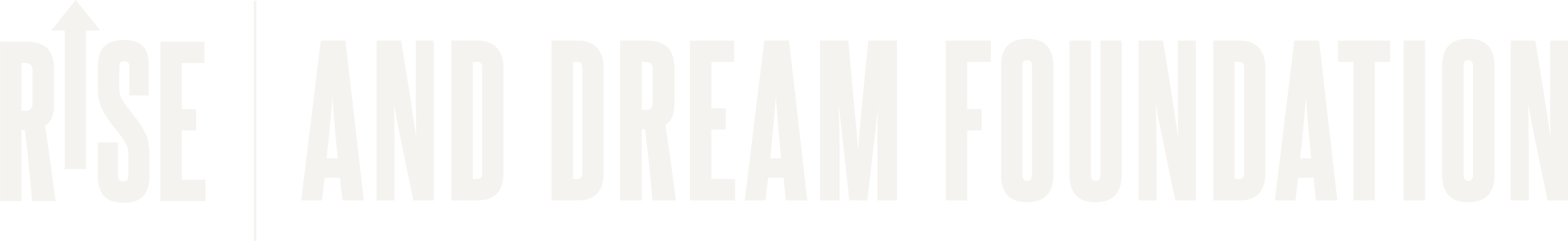 Rise and Dream Foundation